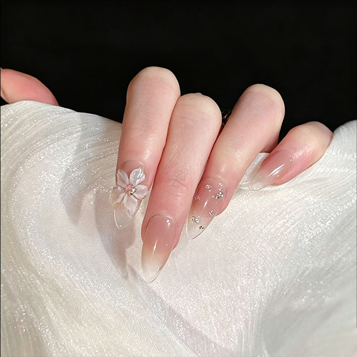 Blush Petal